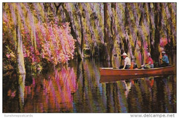 South Carolina Charleston Scene In Cypress Gardens - Charleston