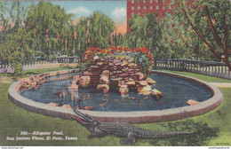 Texas San Antonio Alligator Pool San Jacinto Plaza Curteich - San Antonio