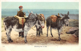 ANIMAUX - ANES SELLES - BORD DE MER - "WAITING FOR A JOB" - Donkeys