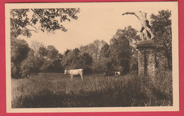 Fleurus / Ligny  - Château De Plomcot ... Le Parc  ( Voir Verso ) - Fleurus