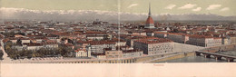 011415 "TORINO - PANORAMA"   CART DOPPIA NON SPED - Viste Panoramiche, Panorama