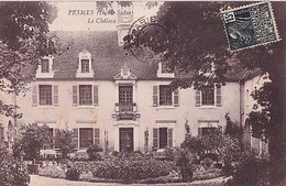 PESMES                         LE CHATEAU - Pesmes