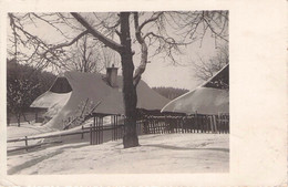 Předměřice Nad Labem 1940  / B15 - Tchéquie