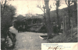 CPA - Carte Postale -Belgique-Bruxelles Schaerbeek Dans La Vallée Josaphat  Début 1900VM48439 - Forêts, Parcs, Jardins
