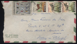 Angola - LsC 29/06/1954 - Angola
