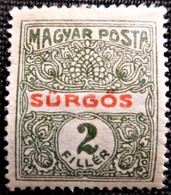 Timbre Pour Journaux De Hongrie 1916 Express Stamp Y&T N° 11 - Periódicos