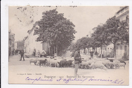 CP 83 DRAGUIGNAN Boulevard Des Marronniers - Draguignan