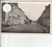 41 - Carte Postale Semi Moderne De VILLEFRANCHE SUR CHER  Rue Du Beau Chène - Altri & Non Classificati