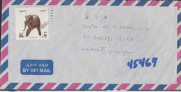 EGYPT 199? COVER To USA @D9008L - Lettres & Documents