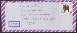 EGYPT 1995 COVER To USA @D9009L - Covers & Documents