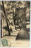 Burlats - Tour De La Vistoure - ANIMEE: Lavandières, Cochon. Carte Précurseur Circulée 1907 - Andere Gemeenten