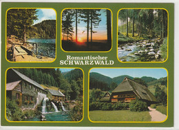 Schwarzwald - Hochschwarzwald