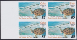 2007.701 CUBA 2007 85c MNH IMPERFORATED PROOF VIRGEN KEY FAUNA TURTLE TORTUGAS. - Non Dentelés, épreuves & Variétés