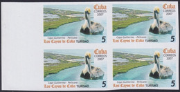 2007.702 CUBA 2007 5c MNH IMPERFORATED PROOF VIRGEN KEY FAUNA BIRD PELICAN AVES PAJAROS. - Non Dentellati, Prove E Varietà