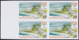 2007.704 CUBA 2007 20c MNH IMPERFORATED PROOF VIRGEN KEY FAUNA LIZARD IGUANAS. 29,99 - Ongetande, Proeven & Plaatfouten