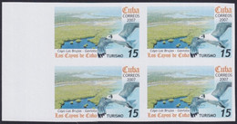 2007.705 CUBA 2007 15c MNH IMPERFORATED PROOF VIRGEN KEY FAUNA GAVIOTA BIRD AVES PAJAROS. - Imperforates, Proofs & Errors