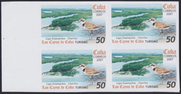 2007.706 CUBA 2007 50c MNH IMPERFORATED PROOF VIRGEN KEY FAUNA CHORLITO BIRD AVES PAJAROS. - Non Dentelés, épreuves & Variétés