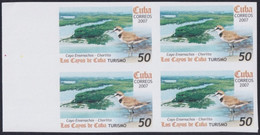 2007.706 CUBA 2007 50c MNH IMPERFORATED PROOF VIRGEN KEY FAUNA CHORLITO BIRD AVES PAJAROS. - Imperforates, Proofs & Errors