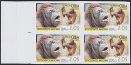 2007.707 CUBA 2007 2.05$ MNH IMPERFORATED PROOF VIRGEN KEY FAUNA ZOO MONKEY MONO ORANGUTAN. - Geschnittene, Druckproben Und Abarten