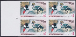 2007.711 CUBA 2007 15c MNH IMPERFORATED PROOF VIRGEN KEY FAUNA ZOO BALEARICA BIRD AVES PAJAROS. - Imperforates, Proofs & Errors