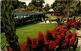 Florida Silver Springs Tropical Plantings In Front Of Administration Building - Silver Springs