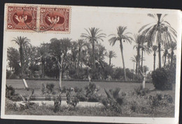 Ismailia (Egypte)  ) Paysage   (PPP36455) - Ismailia