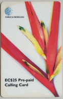 Saint Lucia Cable And Wireless EC$25 Bird Of Paradise Flower - Sainte Lucie