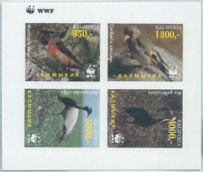 M1979 - RUSSIAN STATE, IMPERF SHEET: WWF, Birds, Fauna   R04.22 - Gebruikt