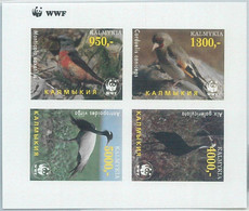 M1982 - RUSSIAN STATE, IMPERF SHEET: WWF, Birds, Fauna  R04.22 - Usati