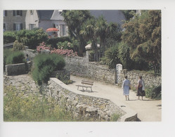 Ile De Batz Sur Mer - Promenade Dans Les Jardins Fleuris De L'ile (la Bretagne En Couleurs N°88403 Jos) - Ile-de-Batz