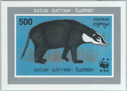 M2014  - RUSSIAN STATE  Batum , SOUVENIR SHEET:  WWF Ant Eater  R04.22 - Usados