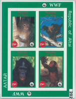 M2027 - RUSSIAN STATE, MINIATURE SHEET: WWF, Monkeys, Fauna  R04.22 - Usati