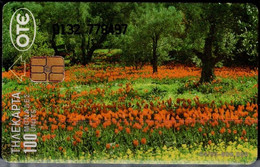 GREECE 1995 PHONECARD FLOWERS USED VF!! - Blumen