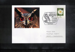 Germany / Deutschland 2009 Owl Interesting Postcard - Hiboux & Chouettes