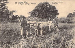 CPA Congo Belge - Kitobola - Entien Postal - Faucheuse Mécanique - Belgian Congo