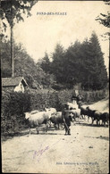 Fond-des-Veaux Moutons - Marche-en-Famenne