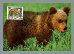 Jugoslawien  1988 , Braunbär / Brown Bear - WWF Maximum Card - First Day  Beograd 1.2.1988 - Cartes-maximum