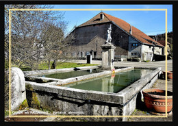25  CHAUX  Les  PASSAVANT  -  Fontaine    Abreuvoir - Sonstige Gemeinden