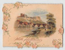 03747 "MILLE FELICITAZIONI" BIGLIETTO AUGURALE, PANORAMA, FIORI IN RILIEVO - 1908 - Sonstige & Ohne Zuordnung