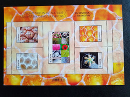 Belgium 2022 Belgique Geometry In Nature The HEXAGON Science Flower Ms5v - Neufs