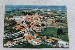 Cpm 1966, Castelnau, Vue Générale Aérienne, Hautes Pyrénées 65 - Castelnau Riviere Basse