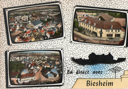 EN DIRECT AVEC BIESHEIM - EN AVION AU DESSUS DE BIESHEIM - F.G.- STORIA POSTALE - Vogelgruen