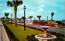 Florida St Augustine Colorful Horse Drawn Sightseeing Carriages Along The Bayfront - St Augustine