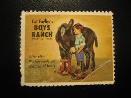 AMARILLO Texas Donkey Ane Poster Stamp Vignette Boys Ranch USA Label - Asini