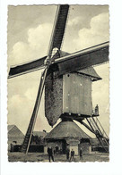 Mol   Windmolen - Moulin à Vent - Mol