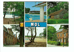 MOL  Multiview - Mol