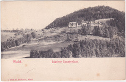 WALD - SVIZZERA - SCHWEIZ - SUISSE - SWITZERLAND - ZÜRCHER SANATORIUM -80656- - Wald