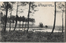 Delcampe - Les Landes  -   40 -     Les Pins - La Lagune -  La Lande - Sonstige