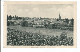 85.298/ CHANTONNAY - Vue Générale - Chantonnay