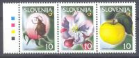 Slovenia Slowenien Slovenie 2000 MNH: The Apple Blossom Apfel The Apple Blossom Weevil (Anthonomus Pomorum) Insect Fruit - Obst & Früchte